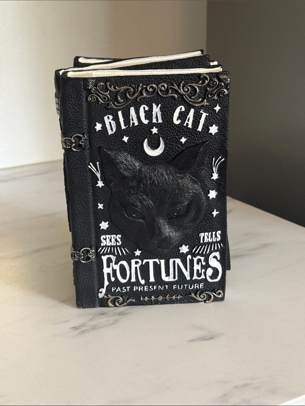 Homegoods Black Cat Fortunes Halloween Holiday Decor
